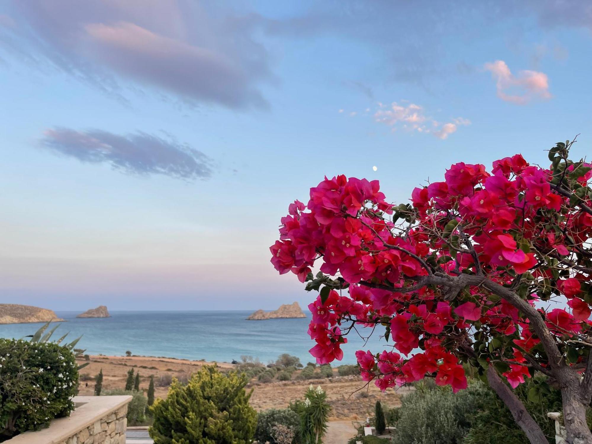 Natica Mare Villas Xerokampos  Bagian luar foto