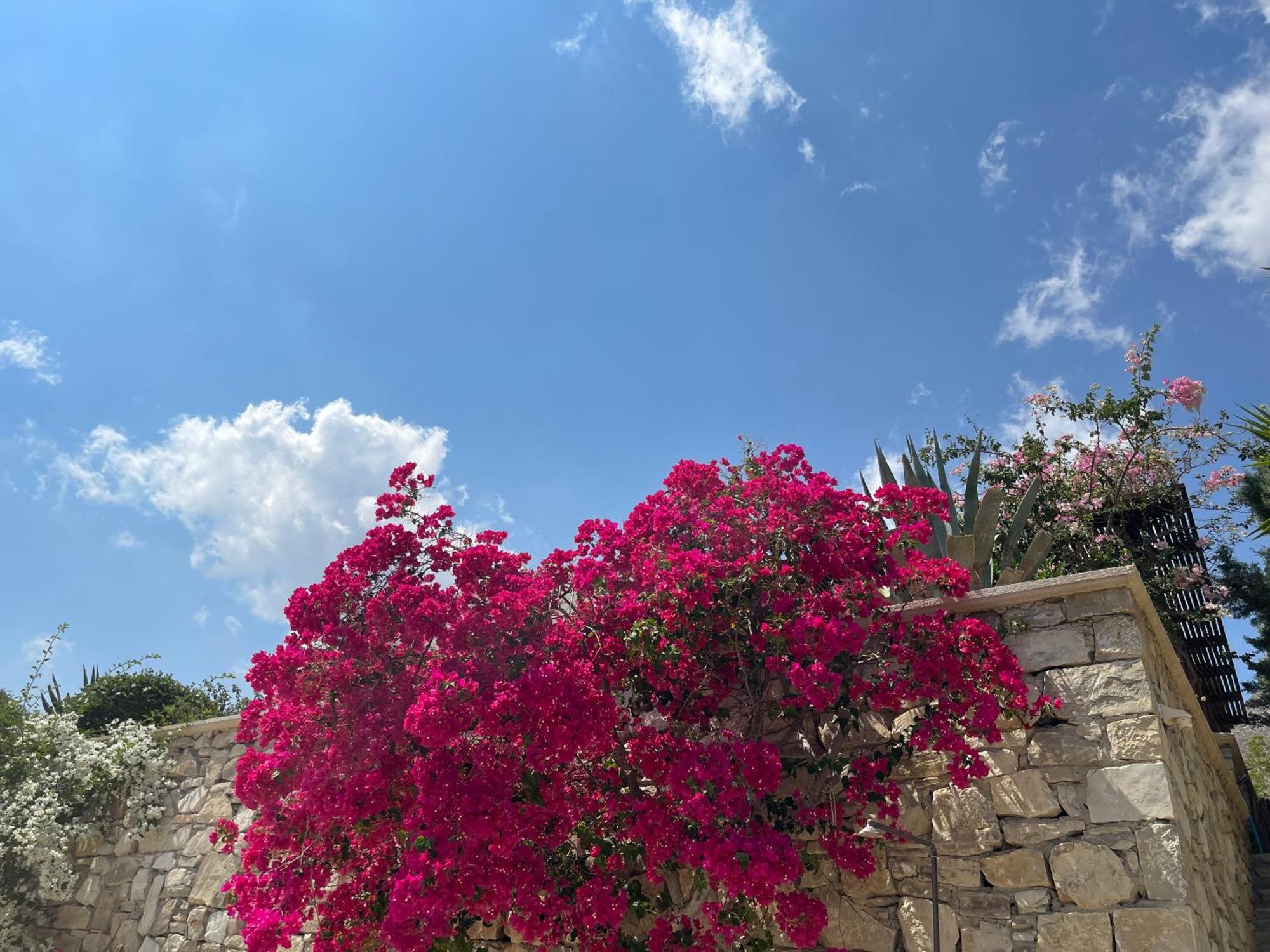Natica Mare Villas Xerokampos  Bagian luar foto