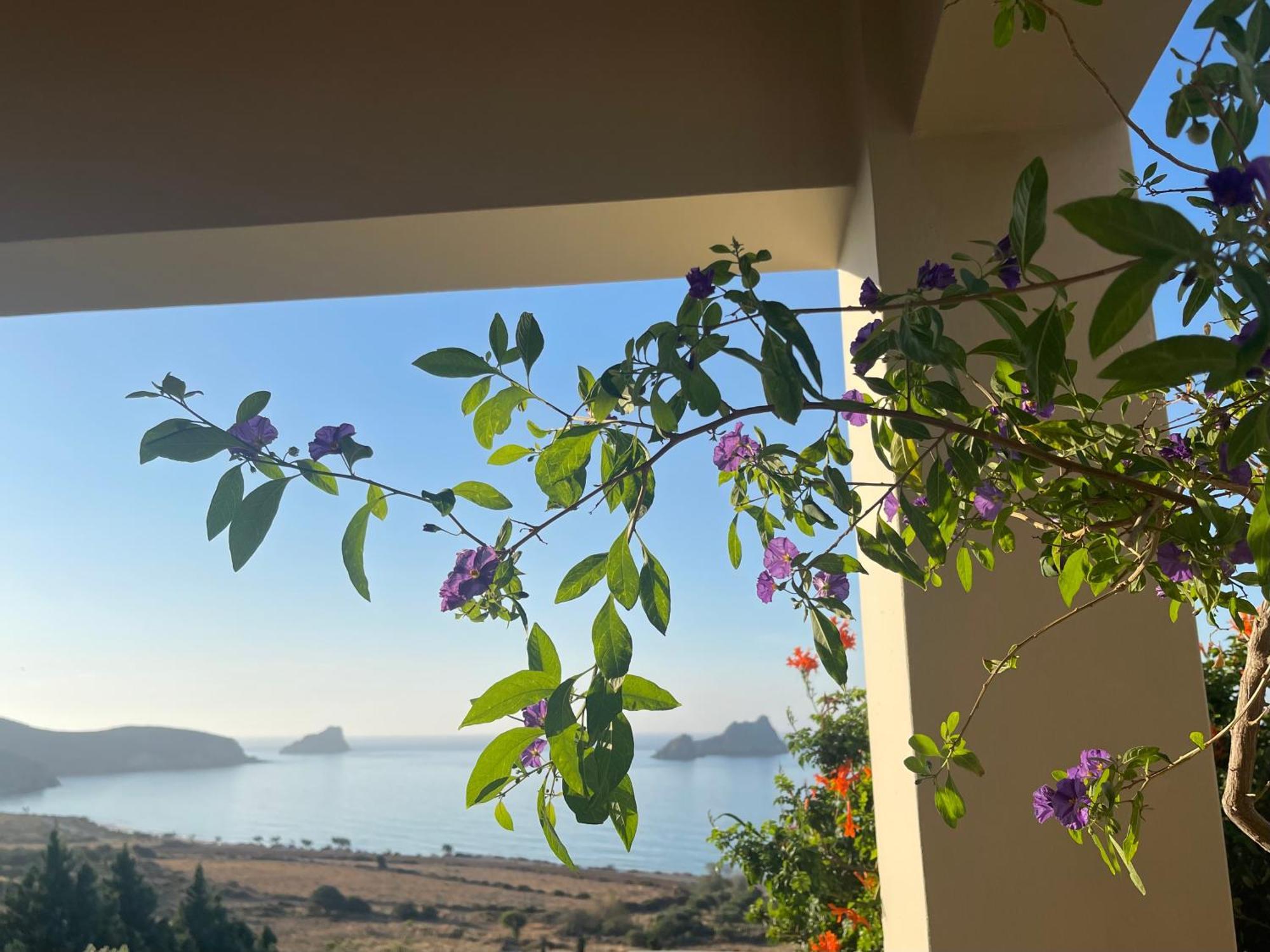 Natica Mare Villas Xerokampos  Bagian luar foto