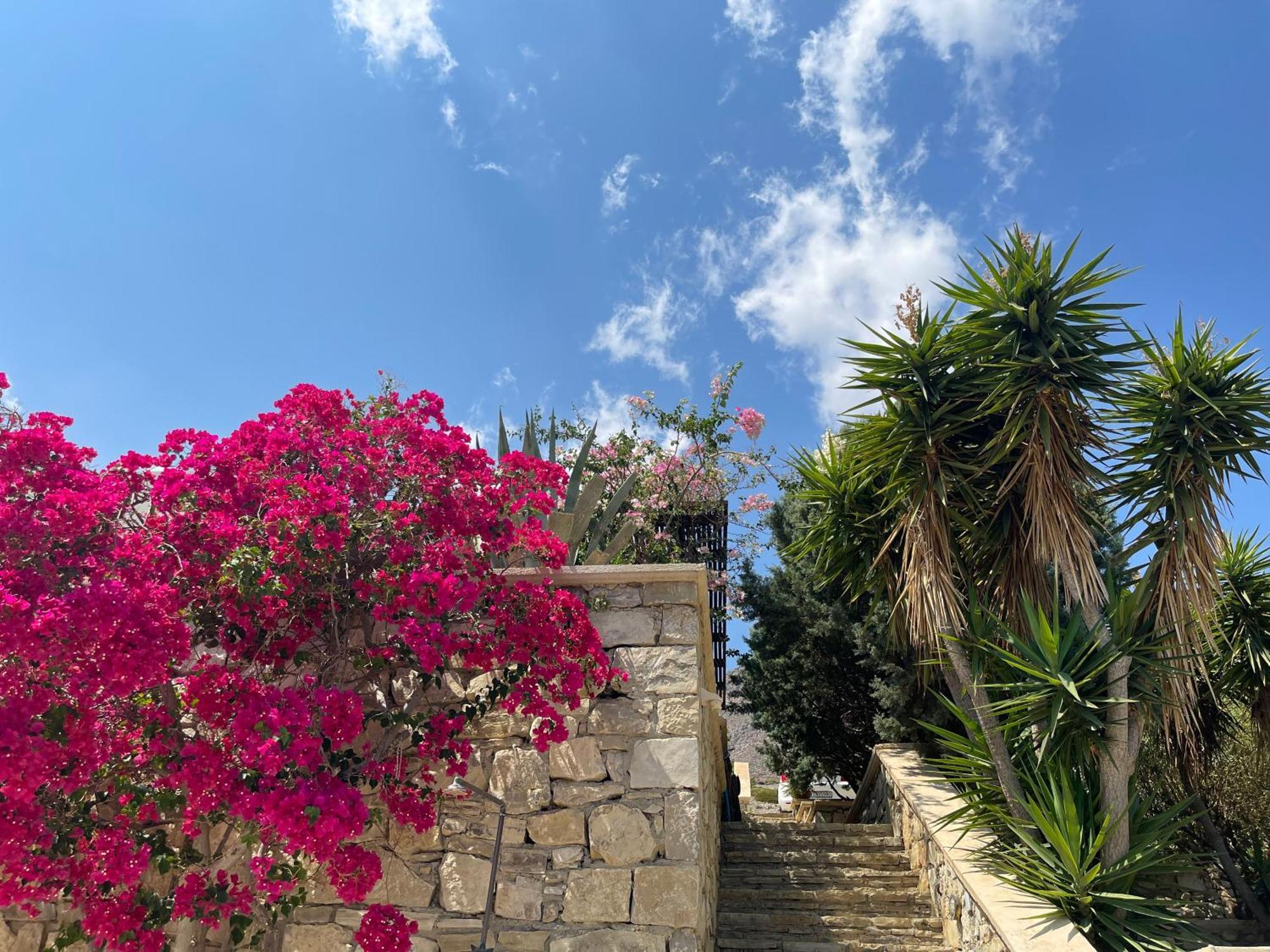 Natica Mare Villas Xerokampos  Bagian luar foto