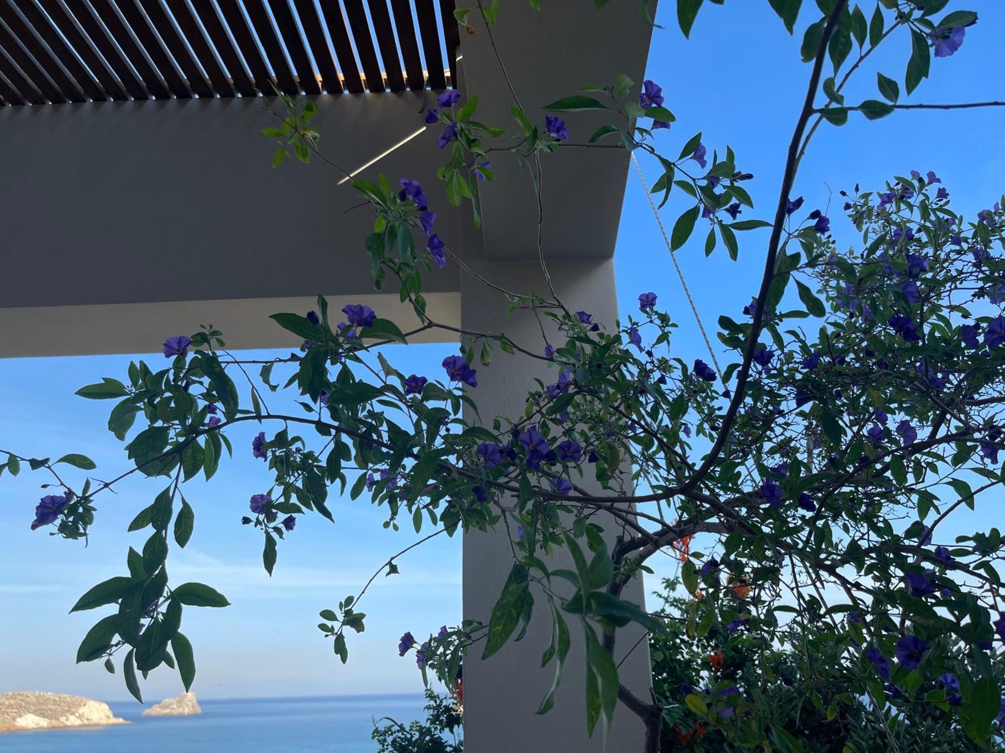 Natica Mare Villas Xerokampos  Bagian luar foto