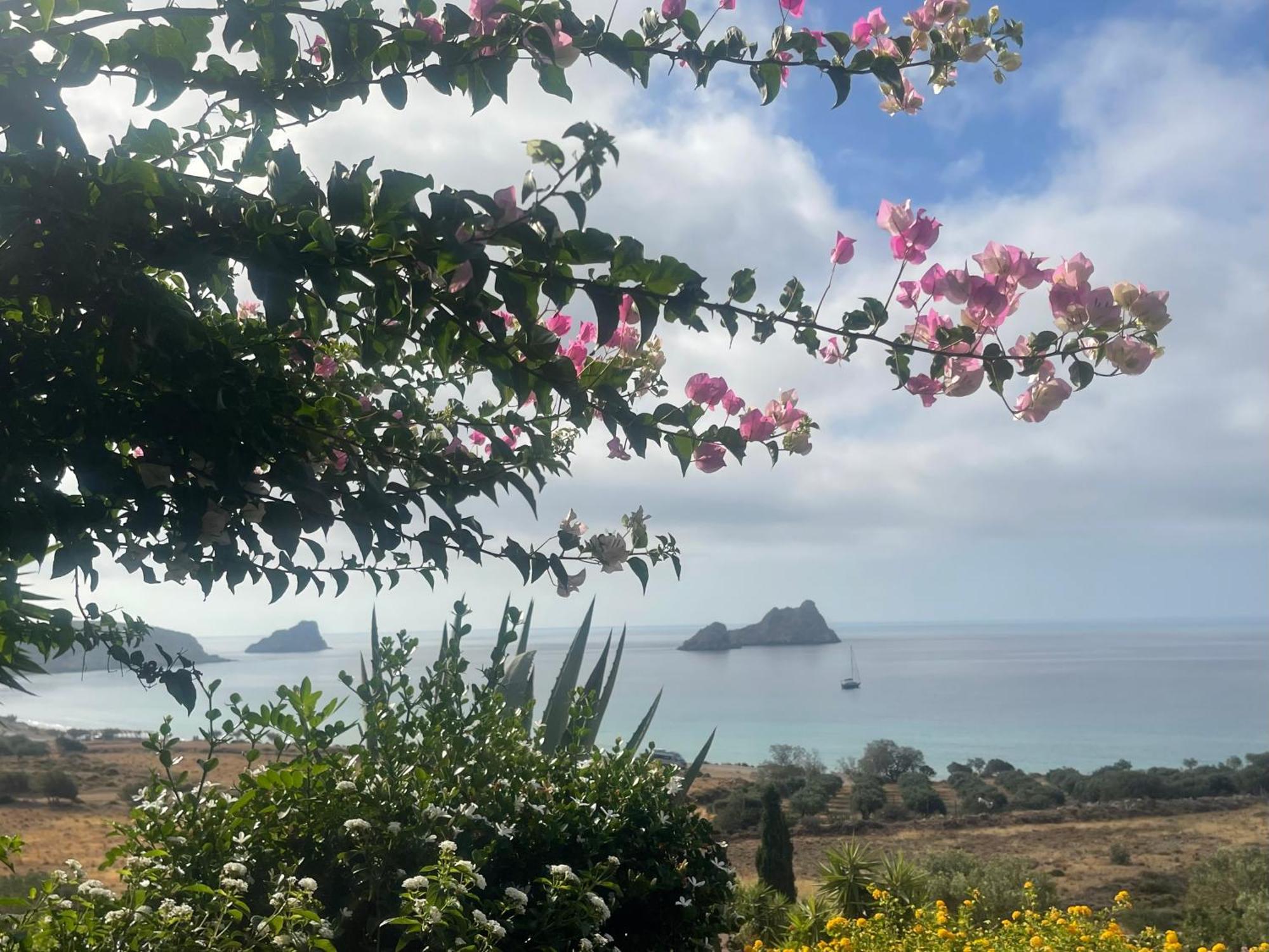 Natica Mare Villas Xerokampos  Bagian luar foto